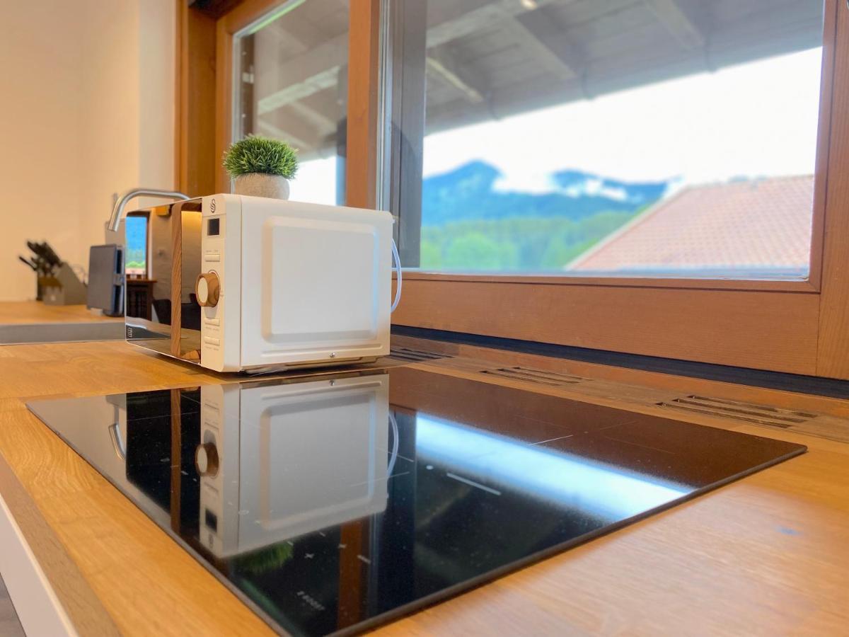 Grosszuegige Ferienwohnung Am Tegernsee Mit Suedbalkon Und Wallbergblick バート・ウィーゼ エクステリア 写真